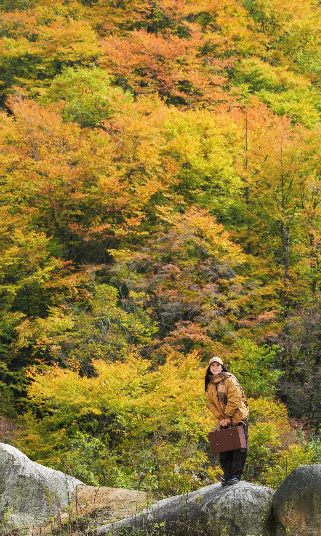 全屏｜迄今为止蕞震撼的赏秋🍁地出现了！