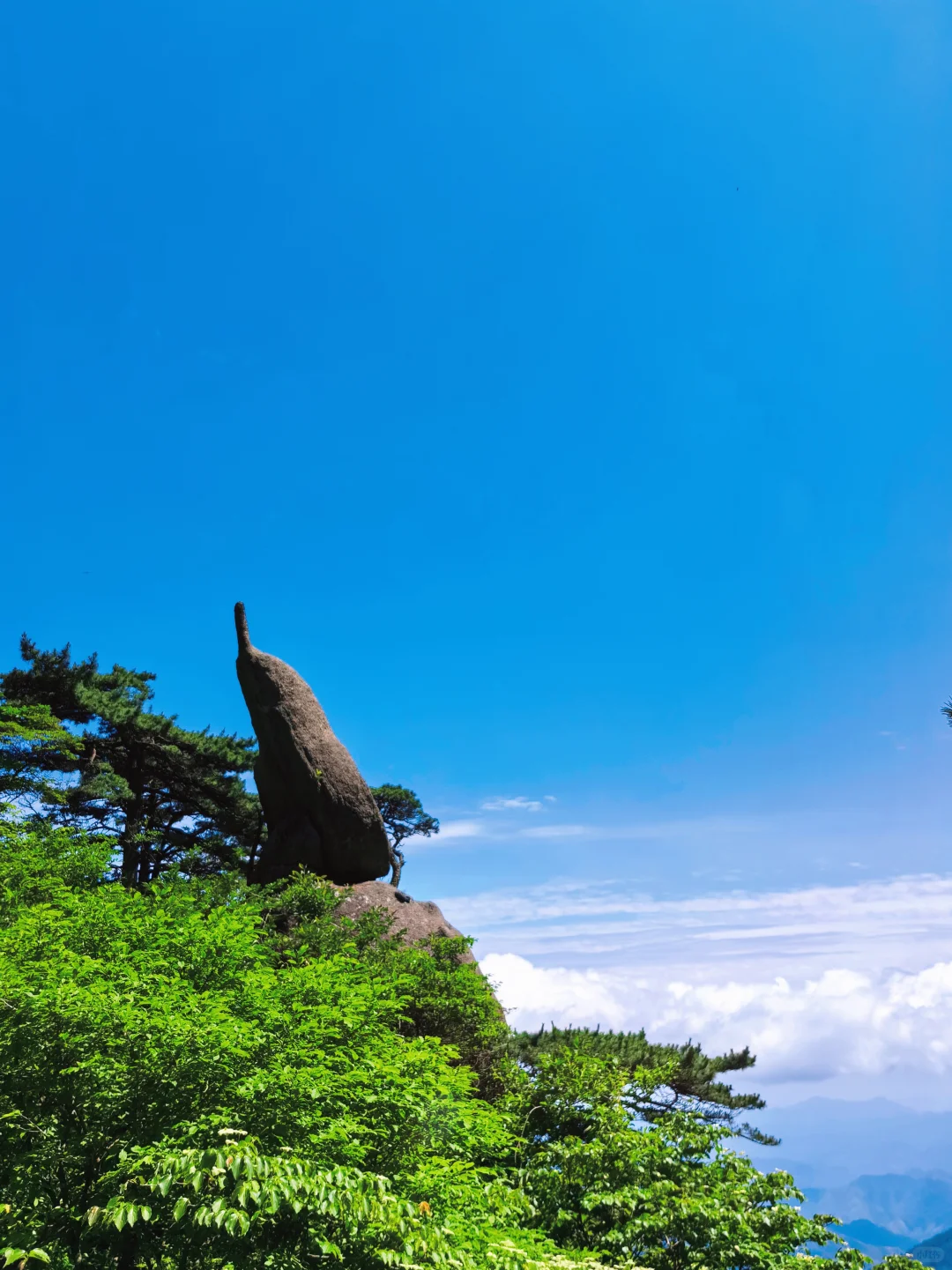 ✨黄山｜人间仙境爬黄山全攻略，别错过这些