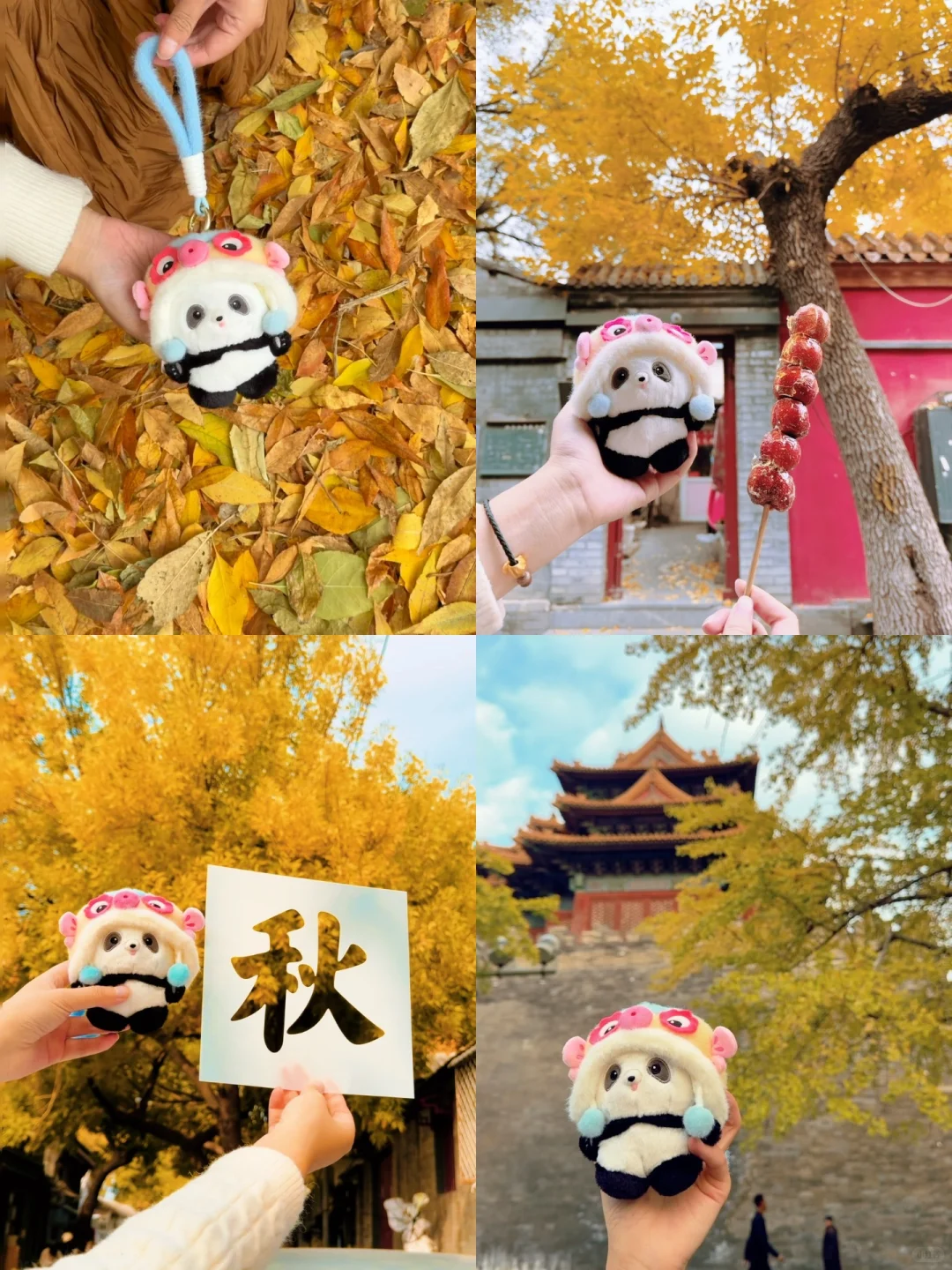 下周来北京一定要走这条赏秋路线