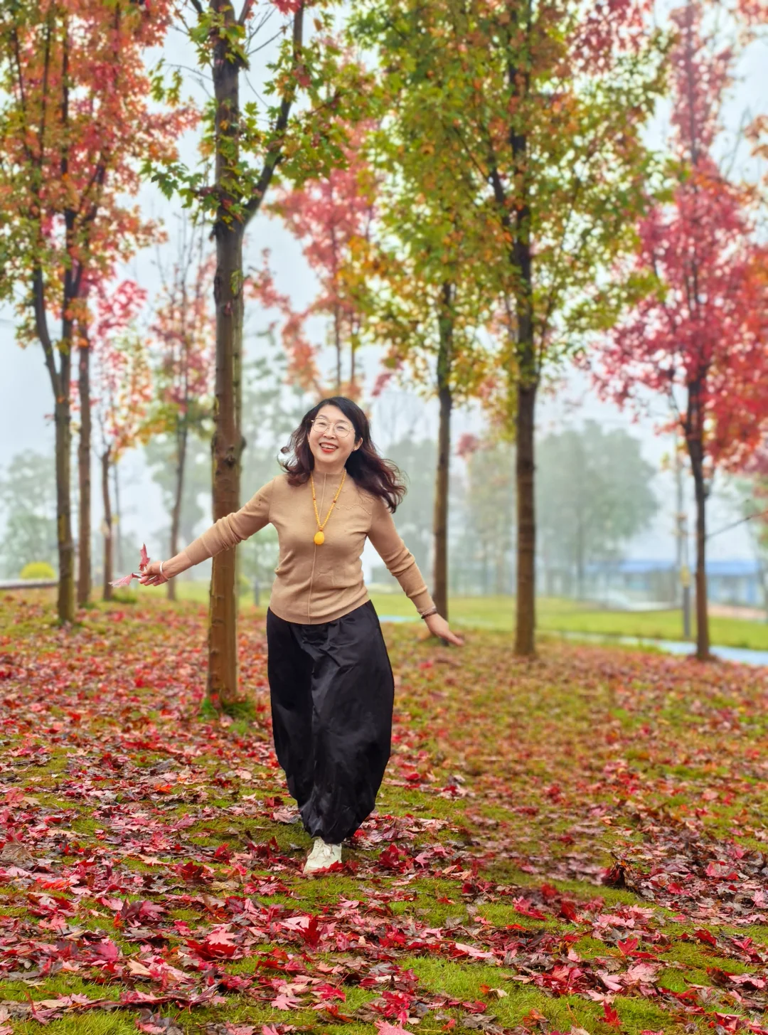 重庆的秋天在哪里|鹿山公园红枫来一波