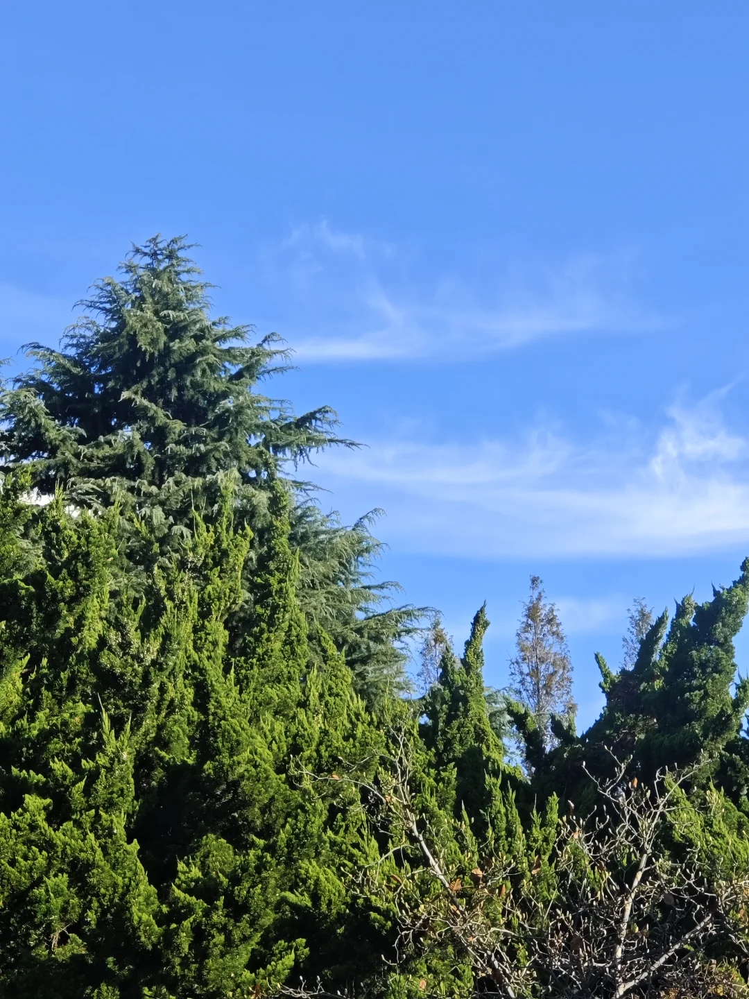 大连的秋天尊嘟好好看