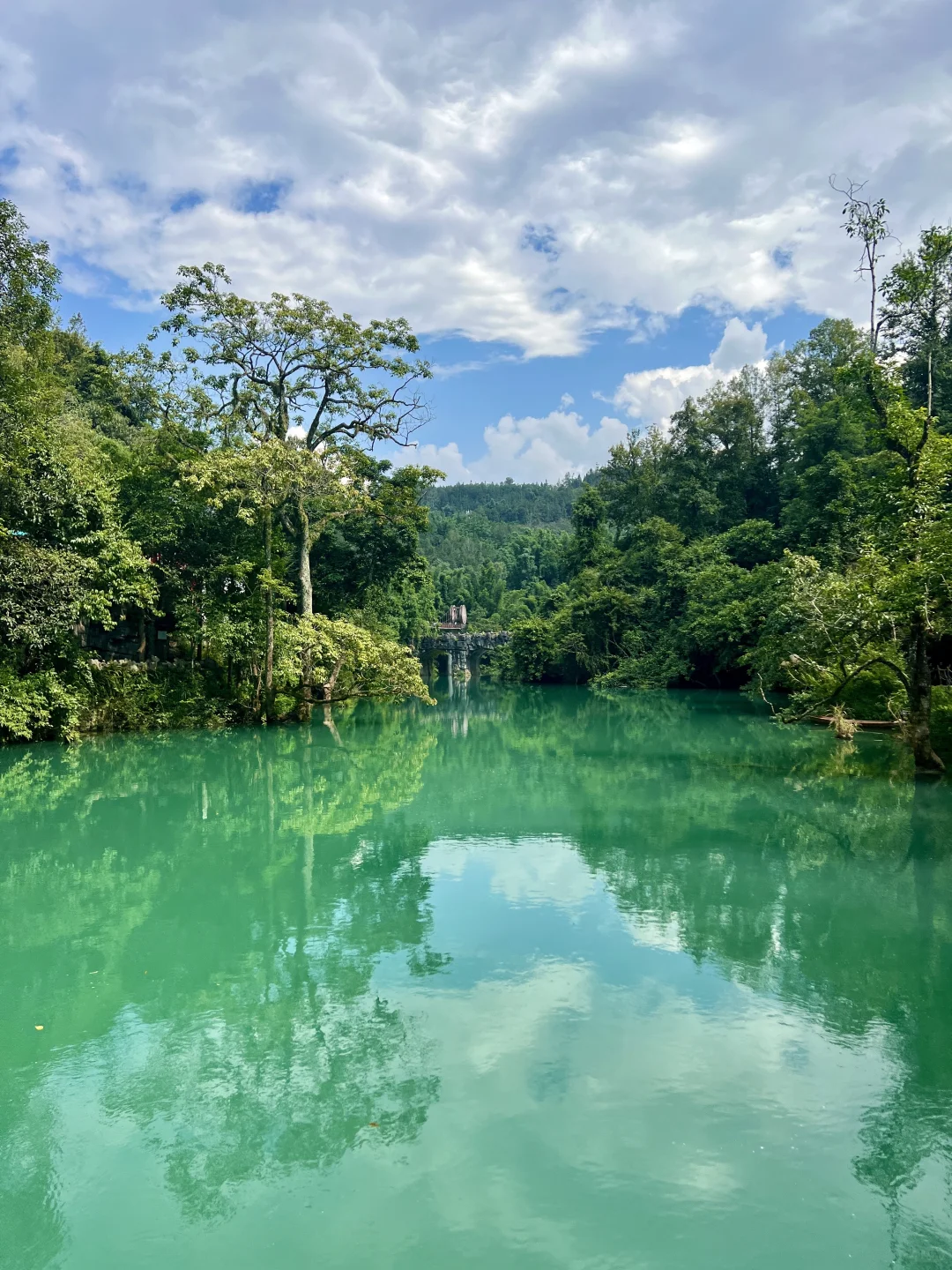 荔波小七孔｜无滤镜live图直出景色图来了🍃