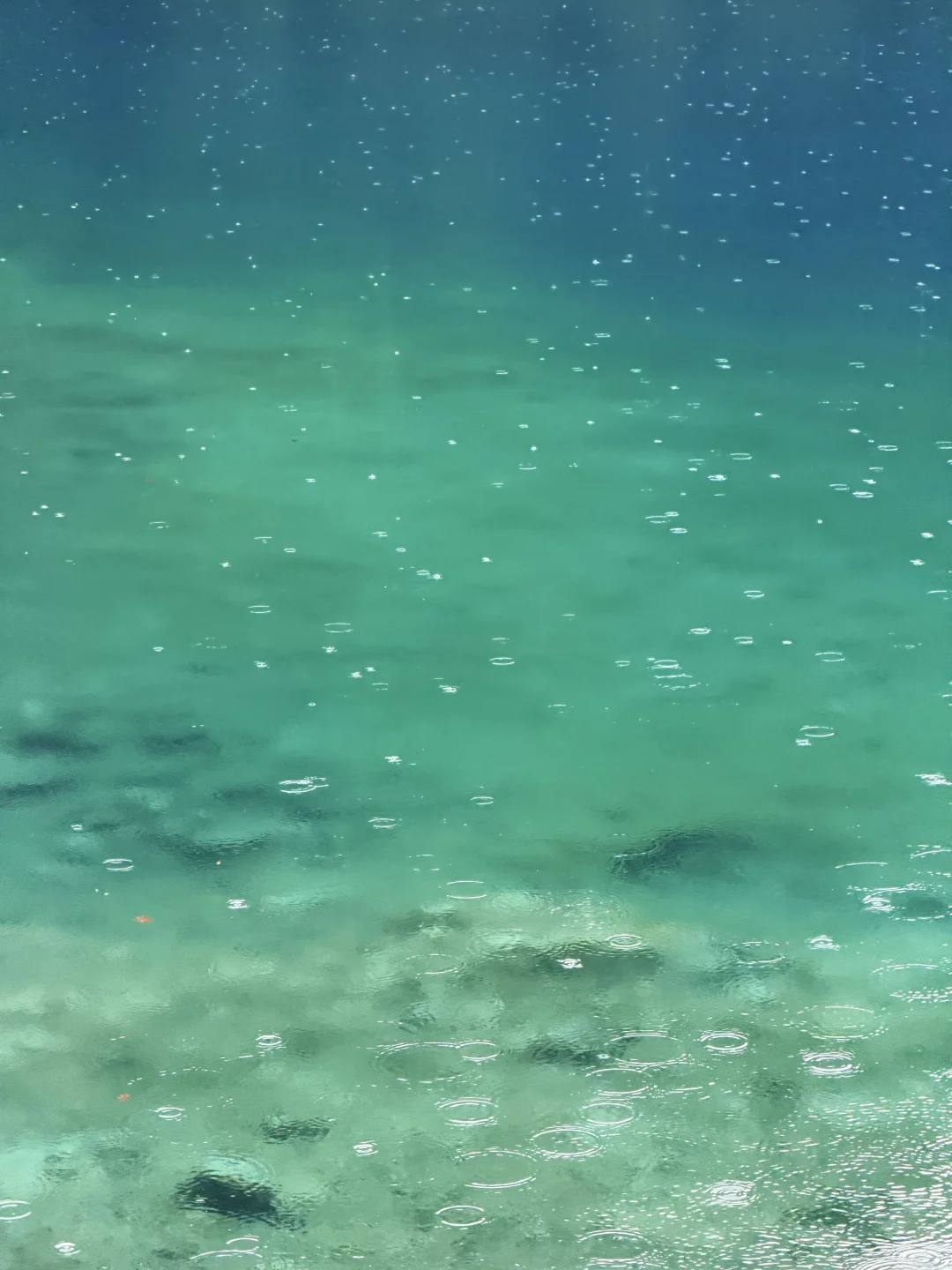 10.27九寨沟豪赌成功！红叶美哭｜Live实况