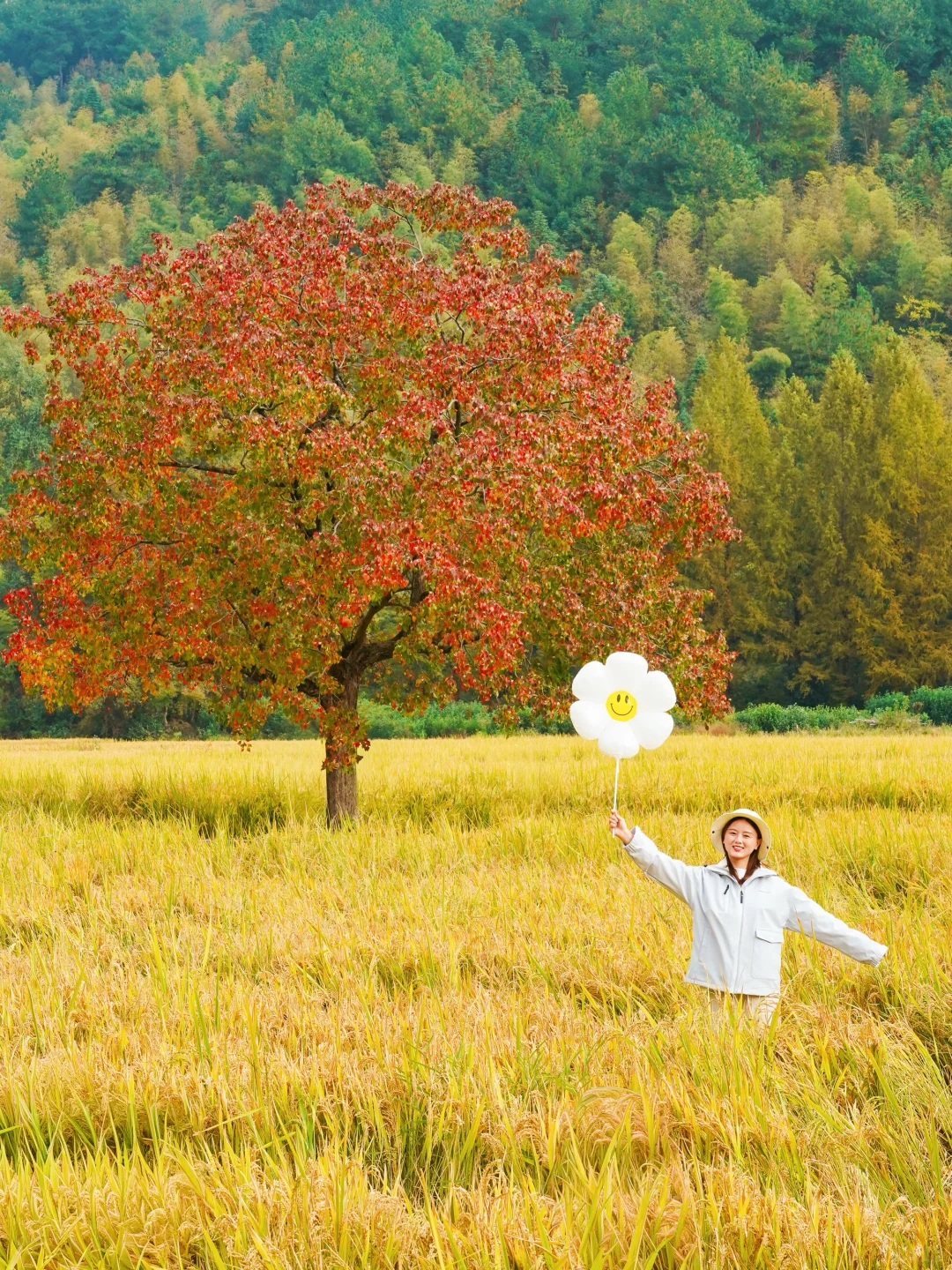 塔川实拍🍁皖南秋天可以冲啦‼️附拍照攻略