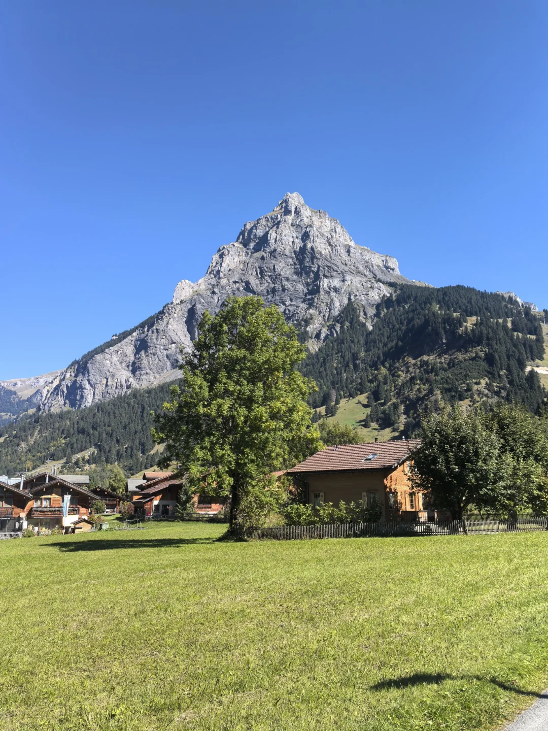 防御板块开始轮动：旅游ETF再创新高