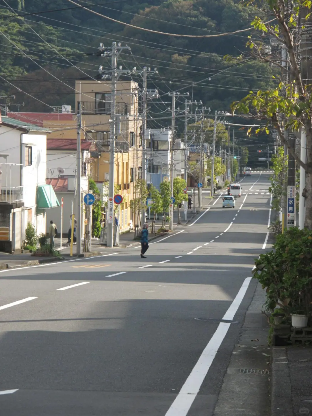 🇯🇵关东旅游攻略|八天单人不到5k