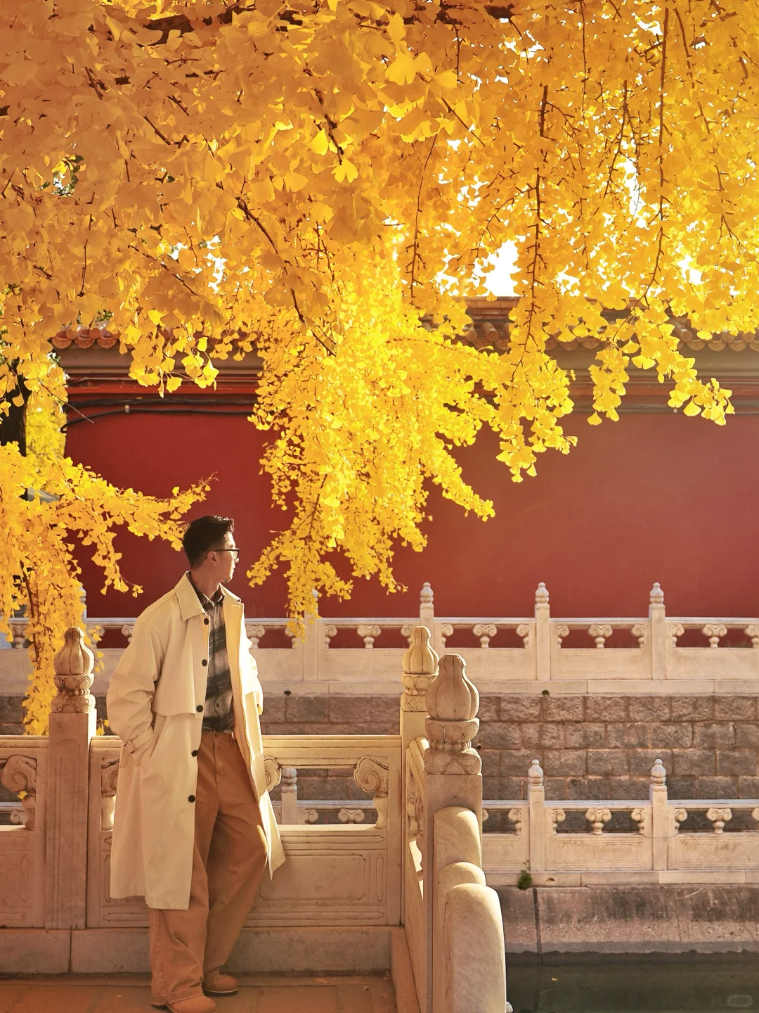 答应我，本周来北京一定走这条路线🍂11.6版