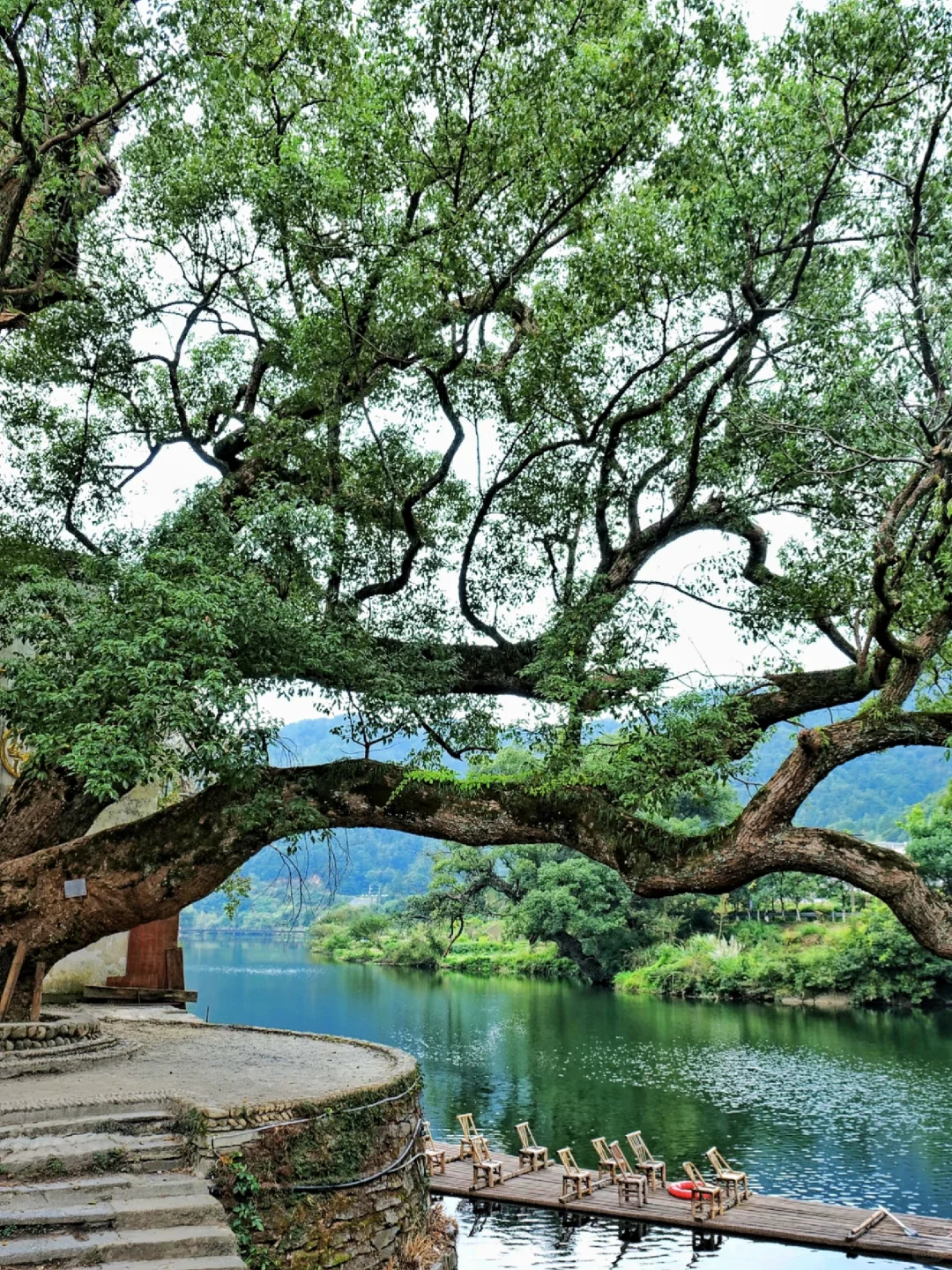 11🈷婺源赏秋|东/北线攻略~附吃住行指南