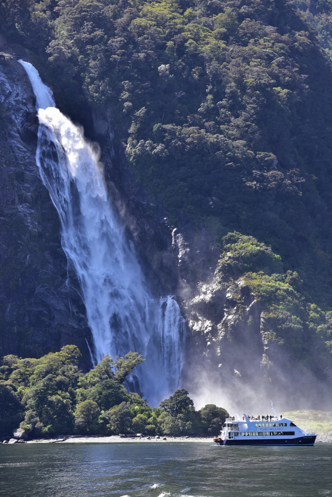 米尔福德峡湾出行之选择飞机值回票价