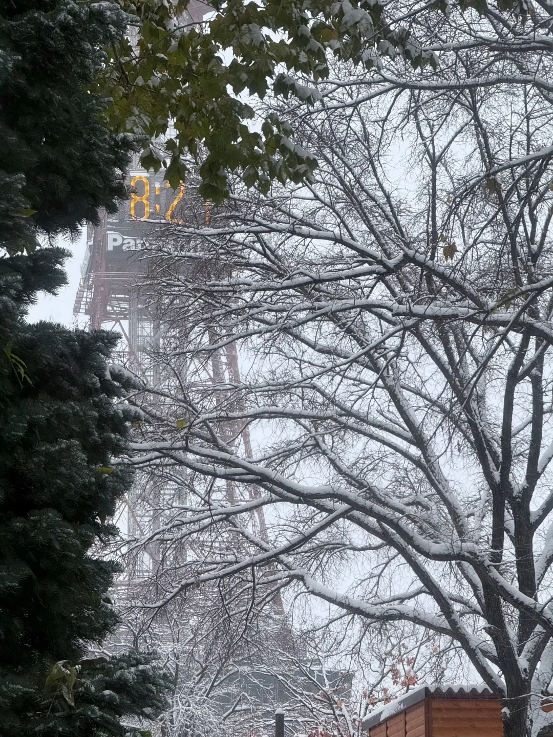 北海道包车🚗价格攻略✅（避免踩坑）💣