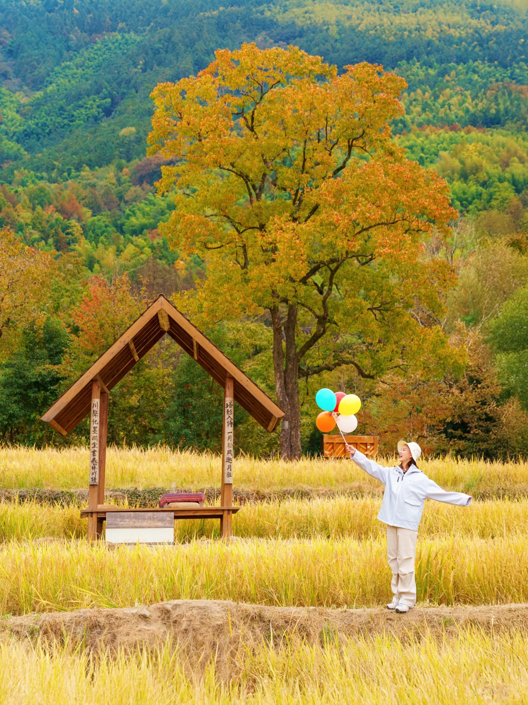 塔川实拍🍁皖南秋天可以冲啦‼️附拍照攻略
