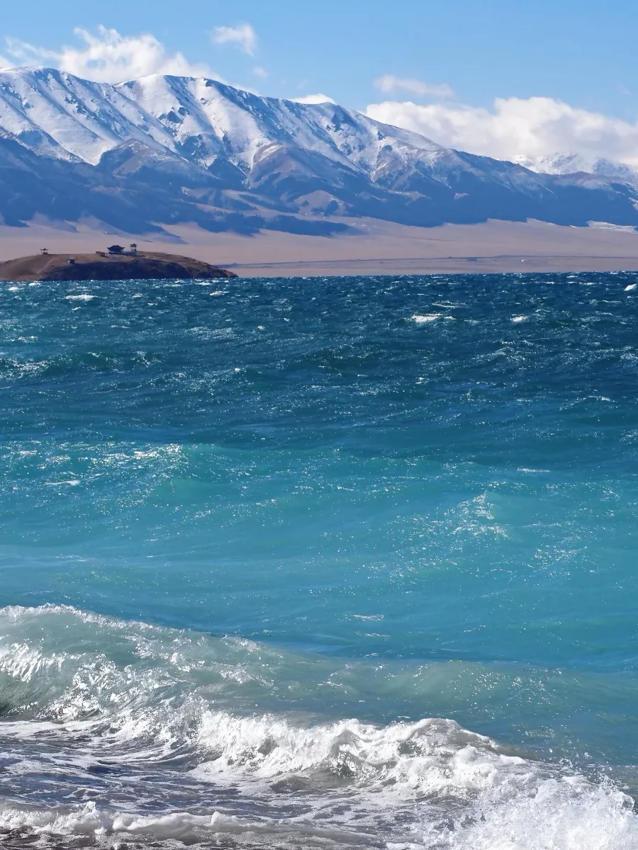 真心不贵❗最新10-12🈷新疆冬季小团❄️