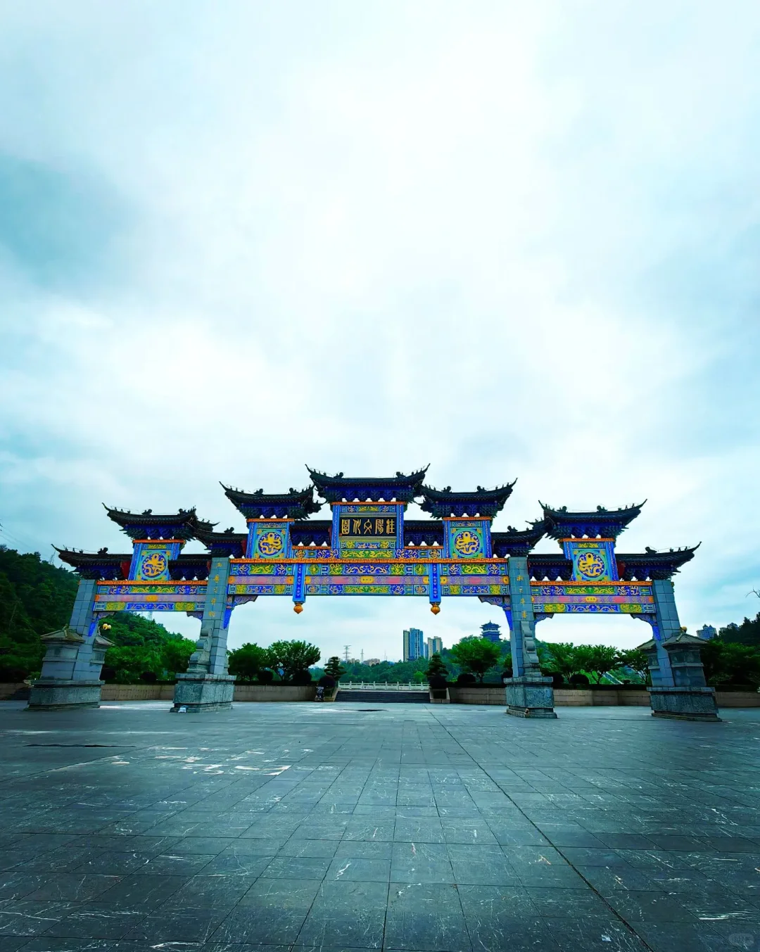 金叶飘叶飘香四百载芙蓉王身后的“湖湘黄金