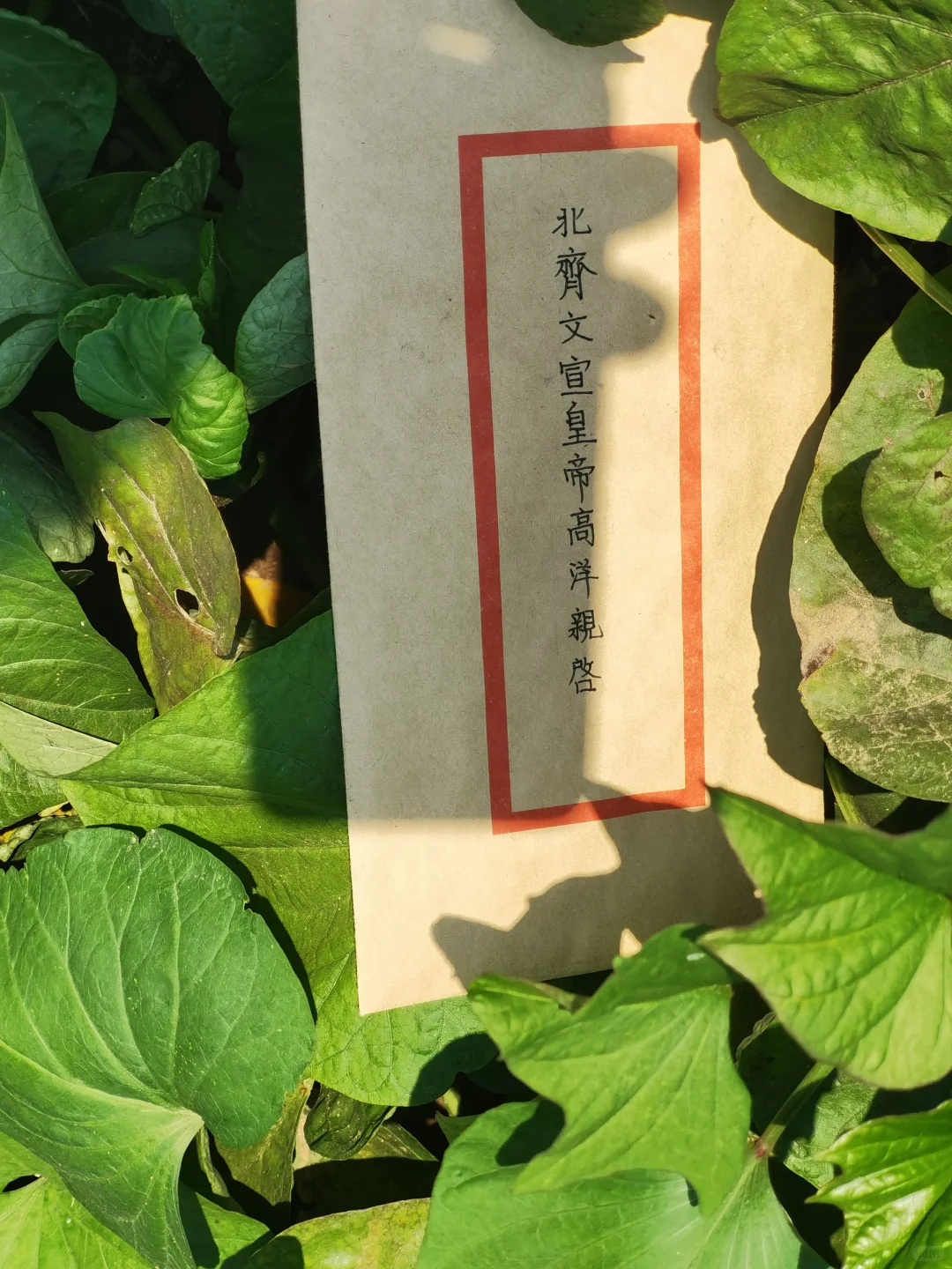 北齐文宣皇帝高洋武宁陵