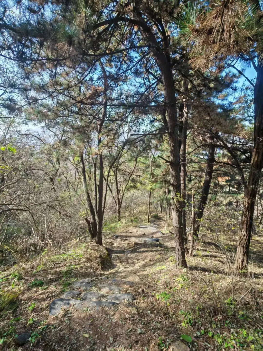 每周一山-秋山风景区