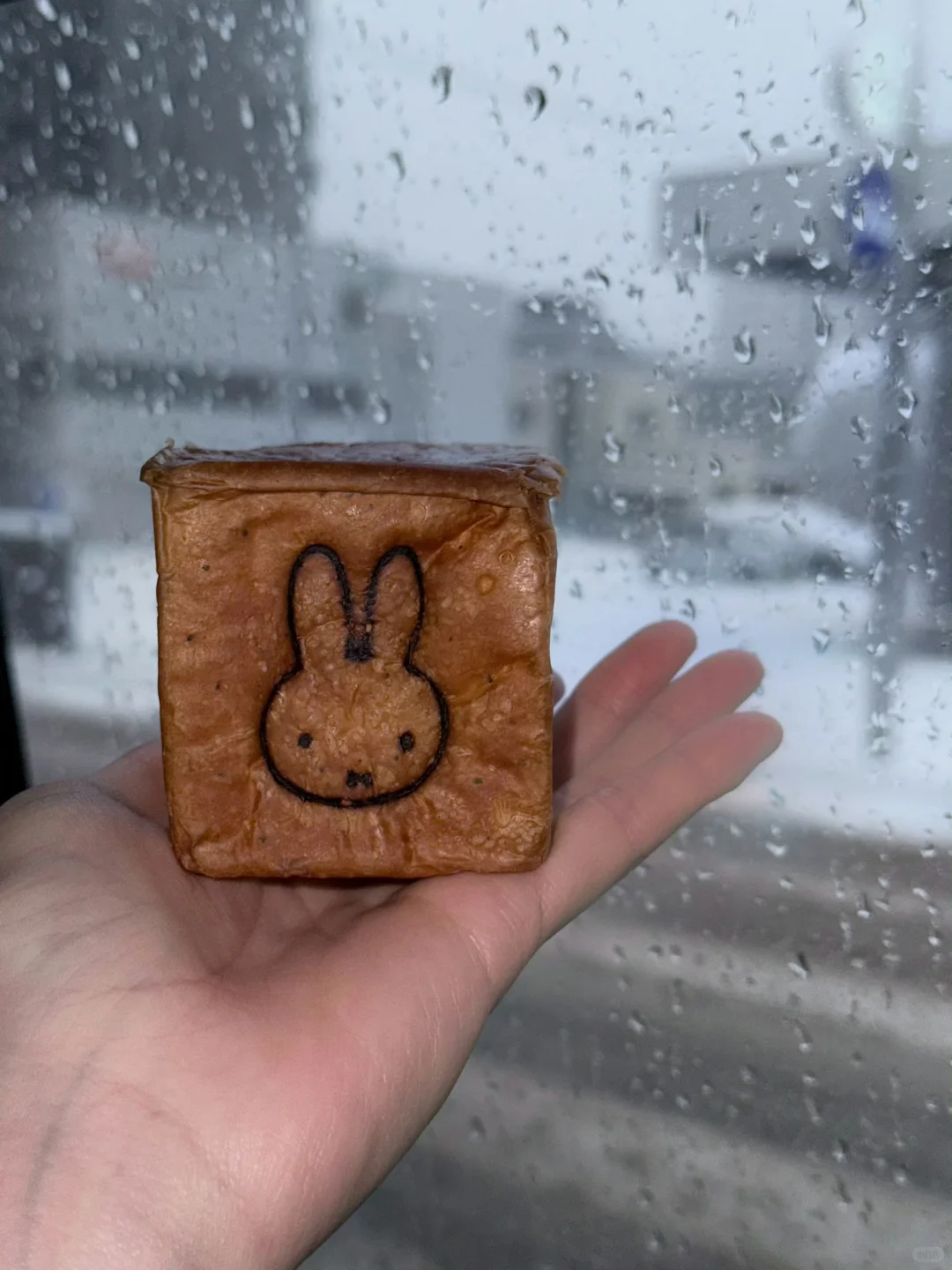 北海道包车🚗价格攻略✅（避免踩坑）💣