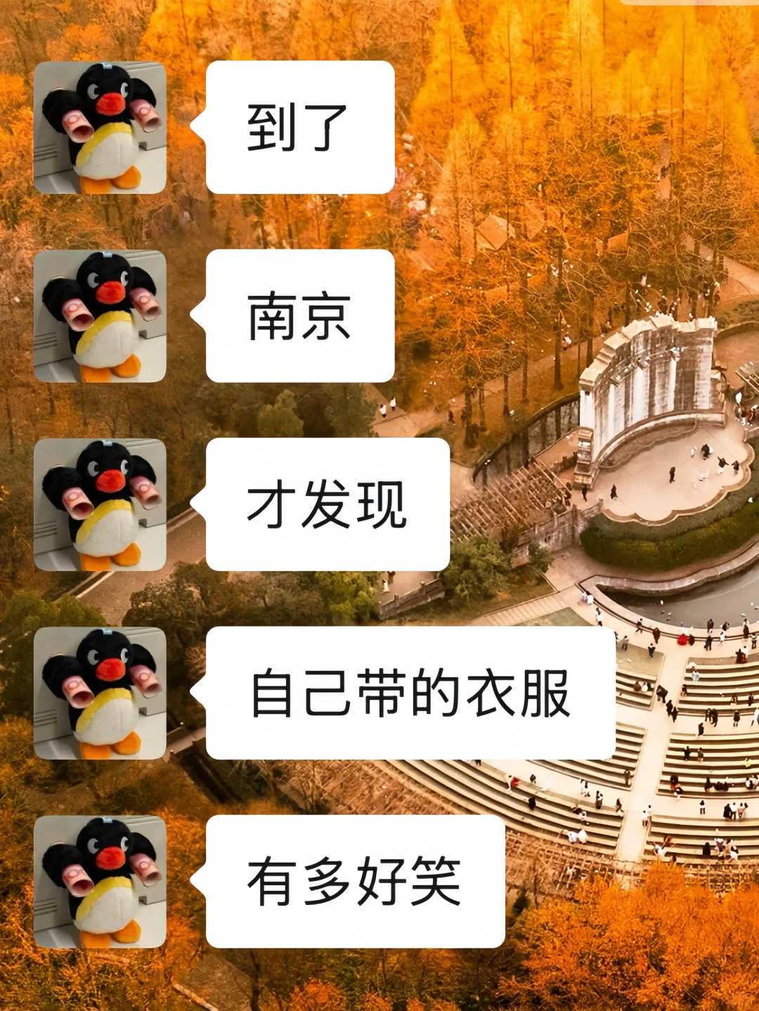 10-11月准备来南京的姐妹，千万要注意了‼