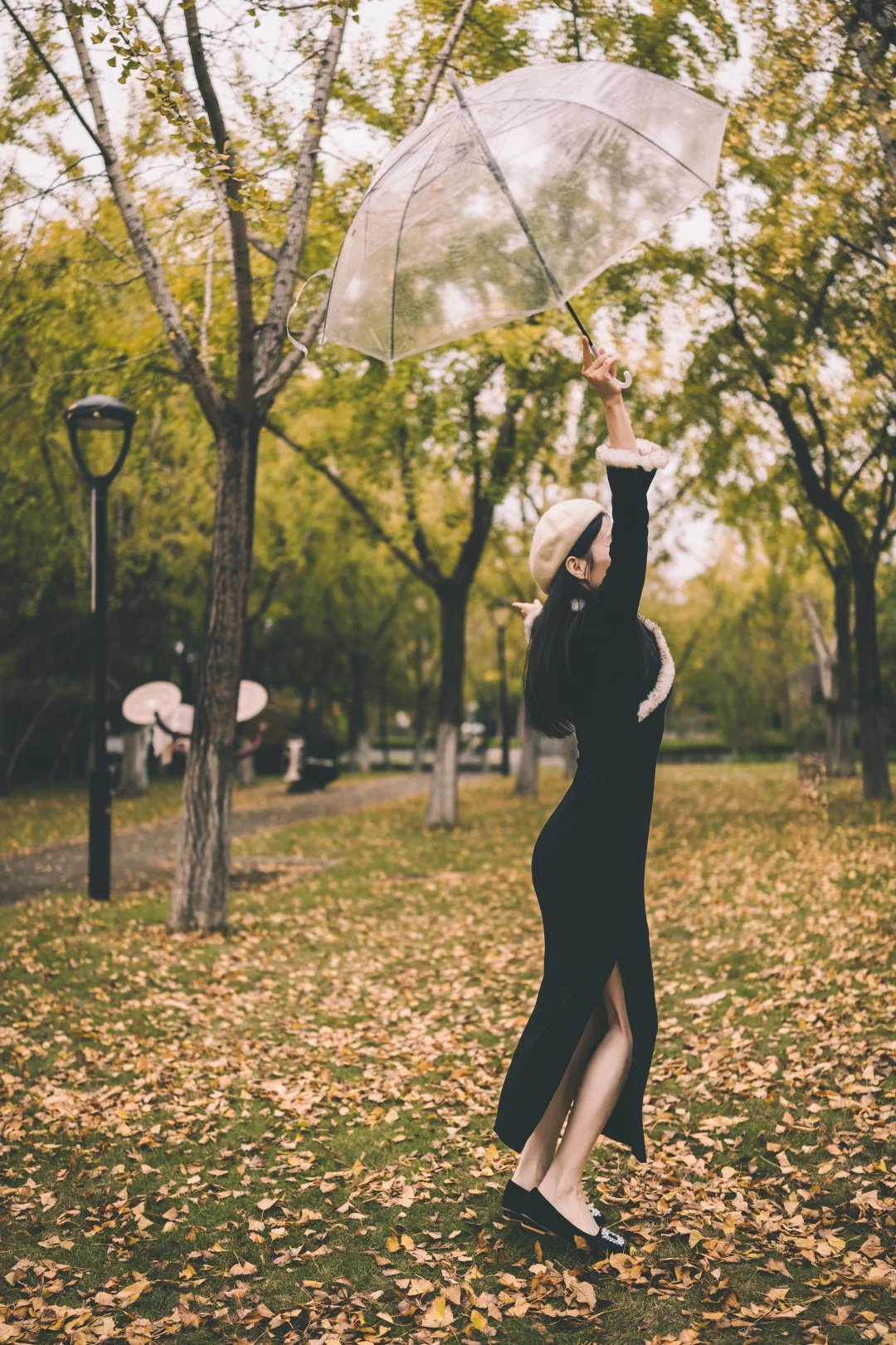 温岭湖心公园银杏