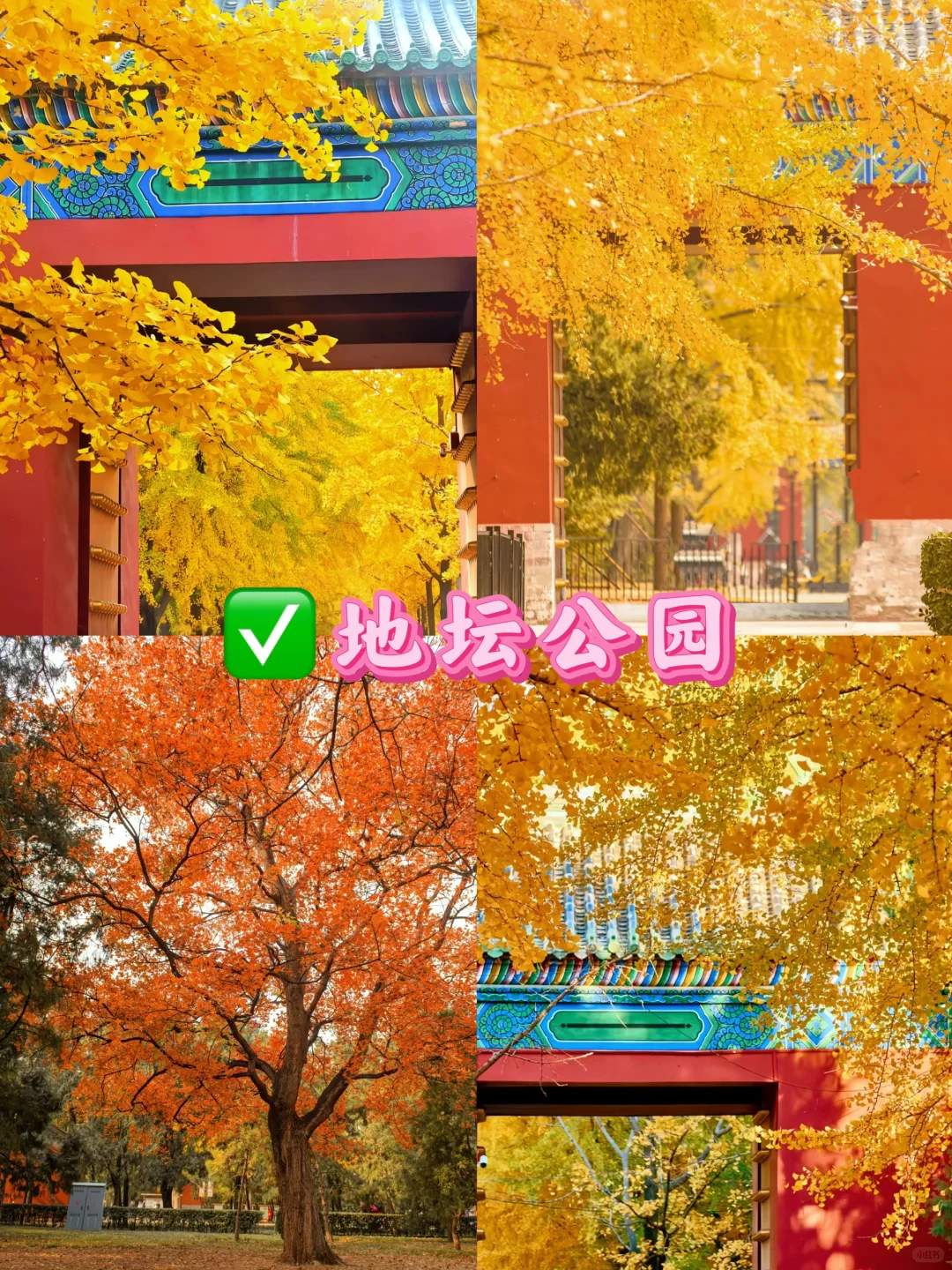 北京九大赏秋地合集！错过还得在等一年🔥