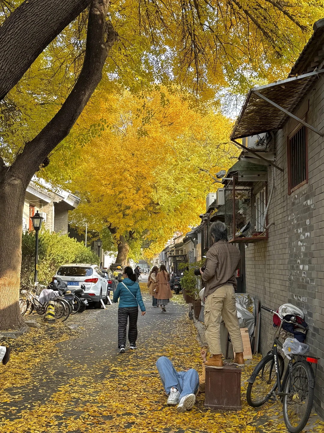 11.8实况！北京今天的胡同杀疯了！！