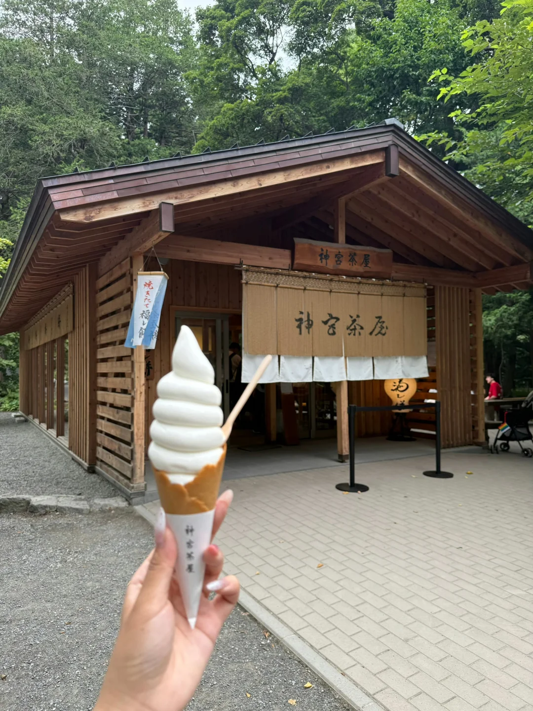 北海道包车🚗价格攻略✅（避免踩坑）💣