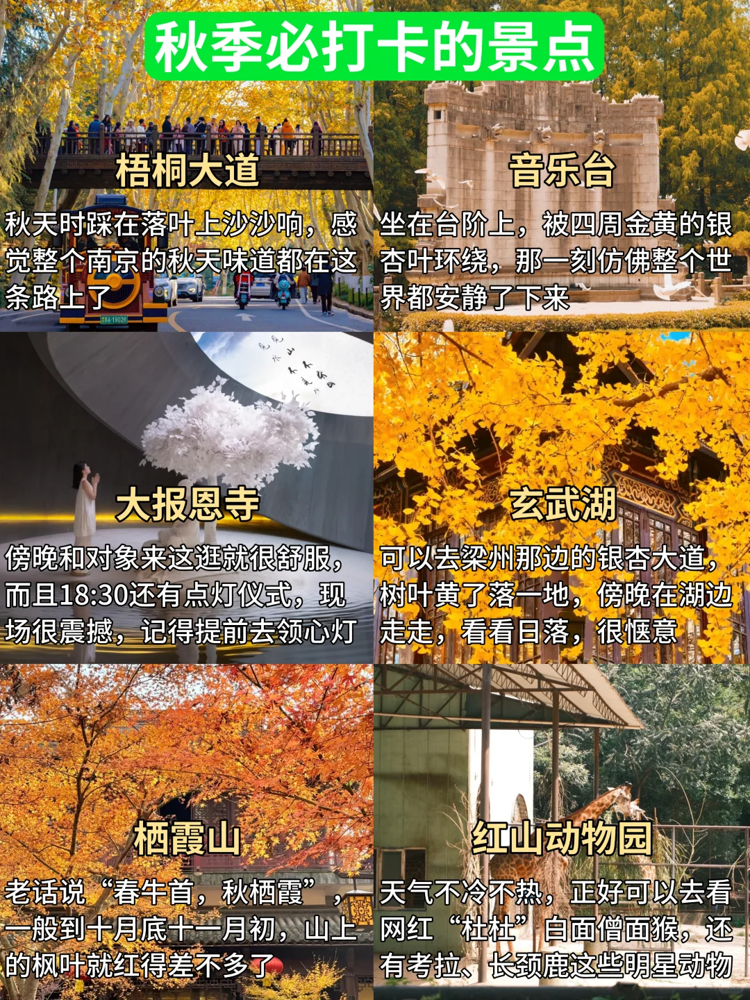 10-11月准备来南京的姐妹，千万要注意了‼