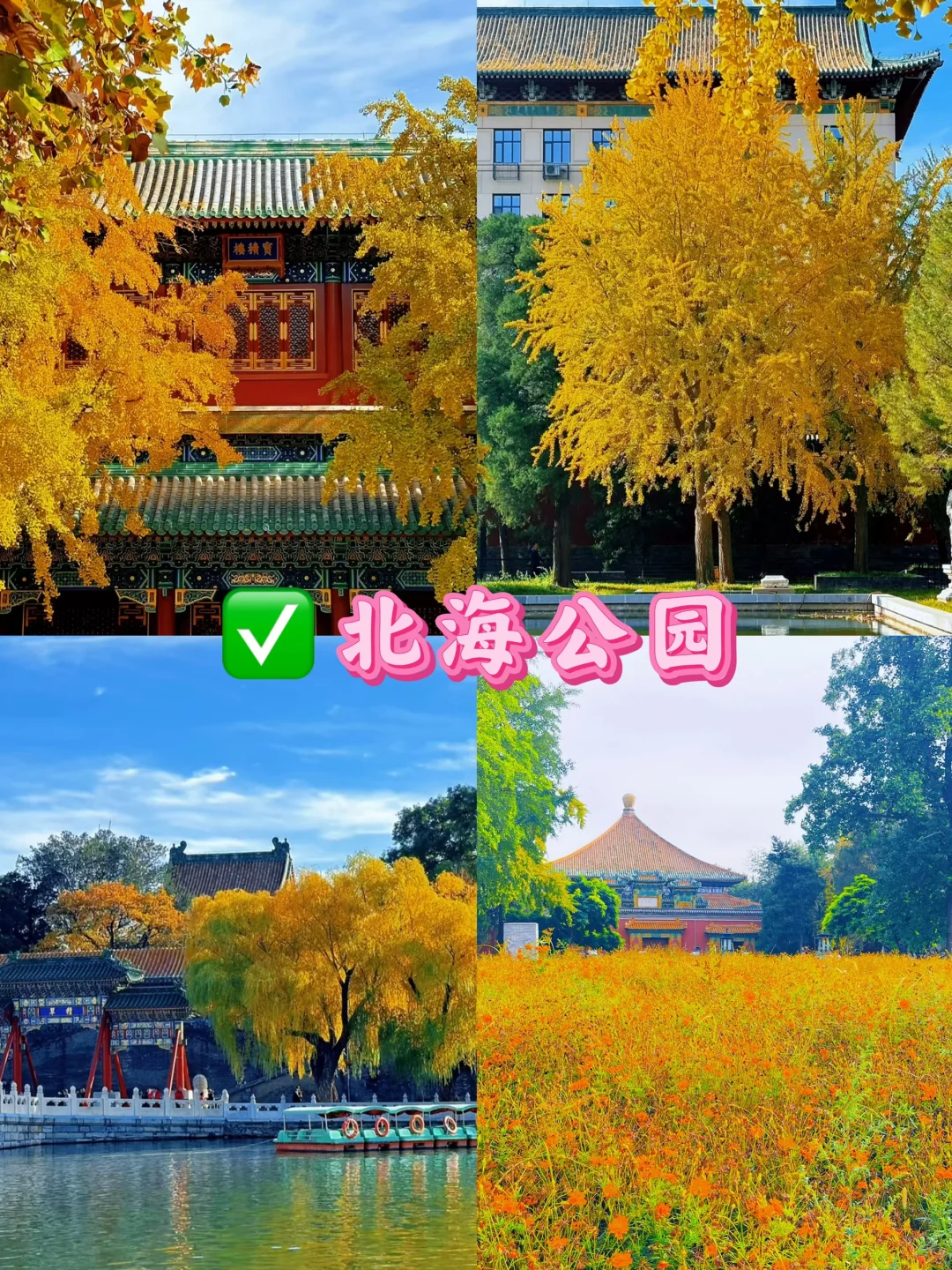 北京九大赏秋地合集！错过还得在等一年🔥