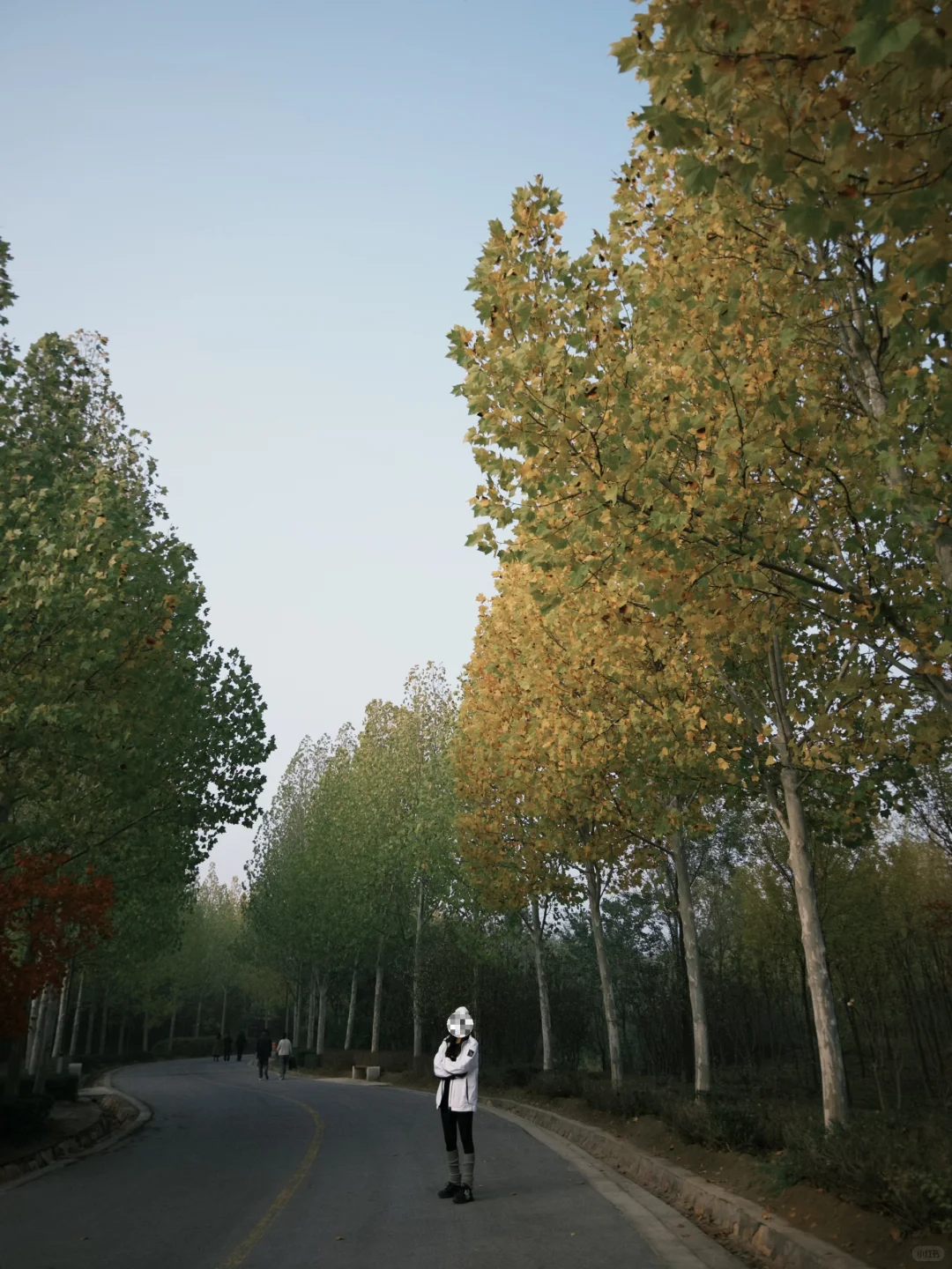 邯郸📍喜欢秋天的浪漫🍂