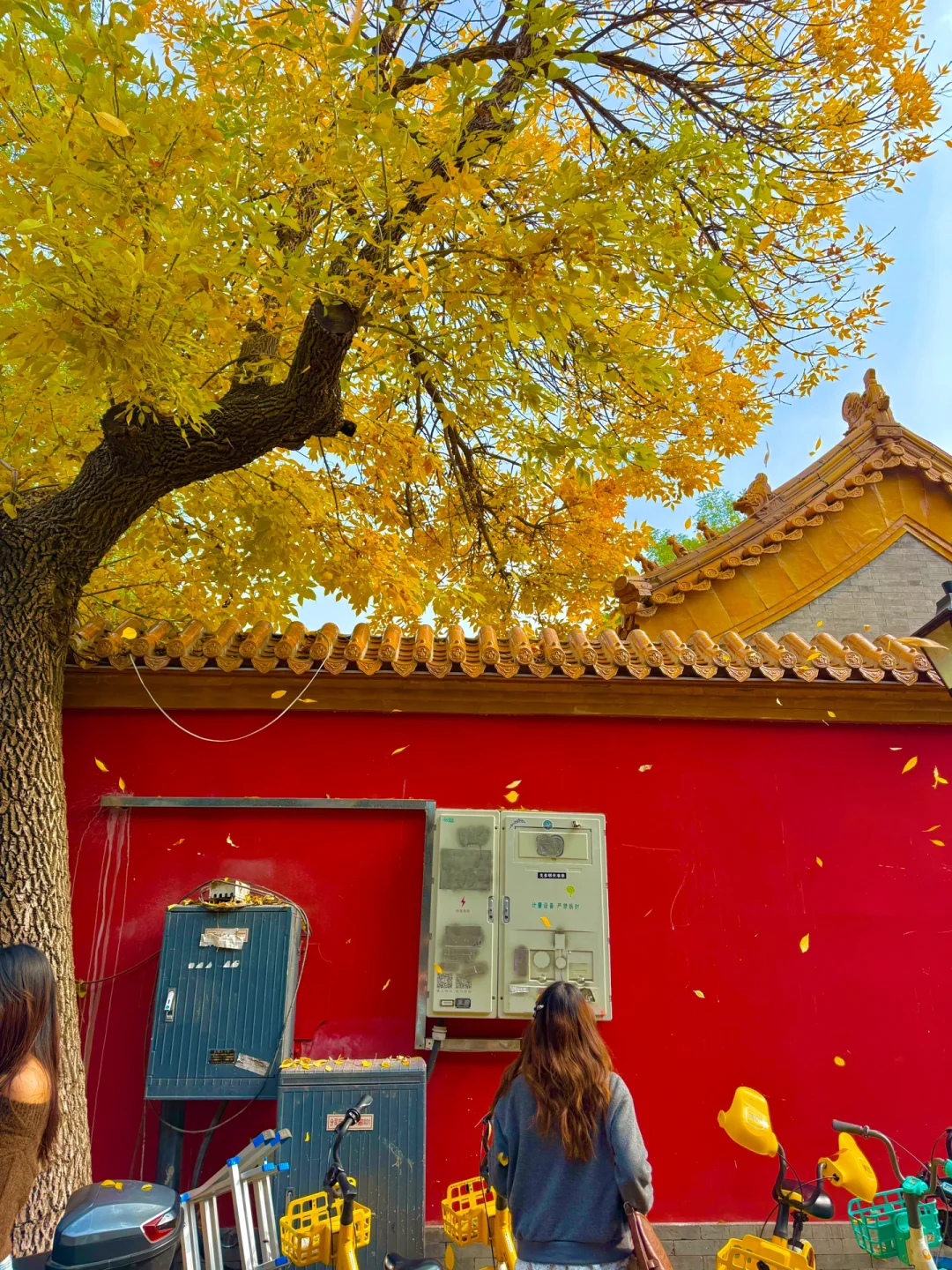 下周来北京一定要走这条赏秋路线