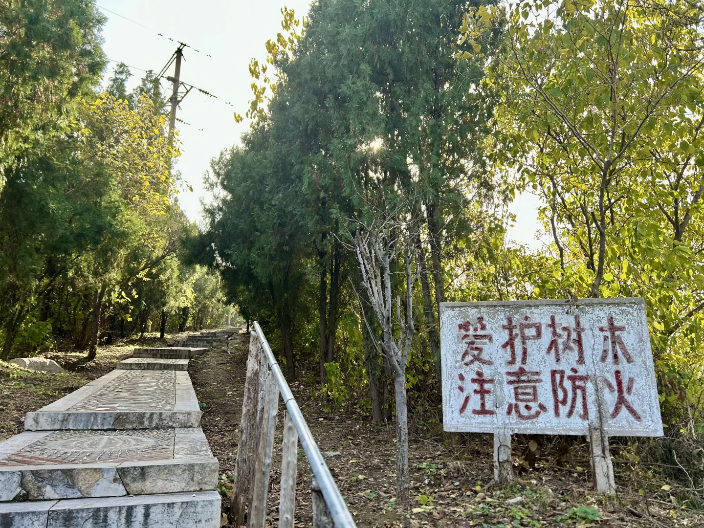 秋季再访免费元宝山～