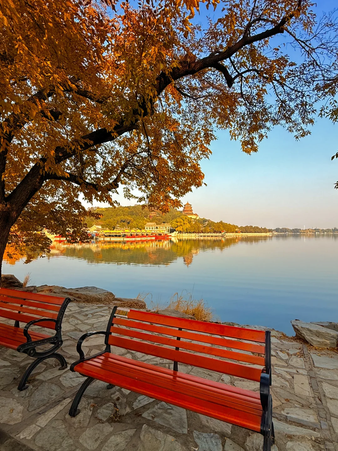 live图！！颐和园的秋天真是在画中游！！