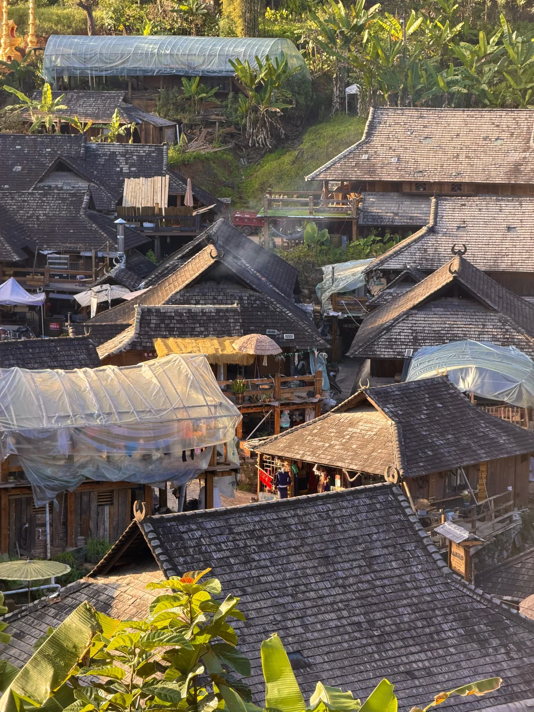 今年为止，我最喜欢的旅行地出现了…