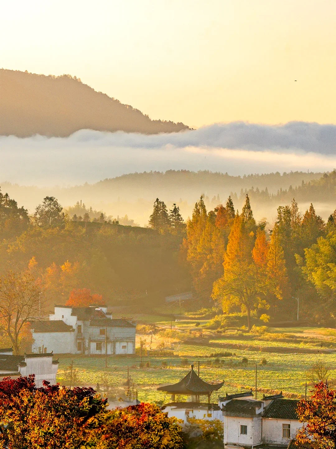 《国家地理》推荐‼️国内没有平替的绝美秋景