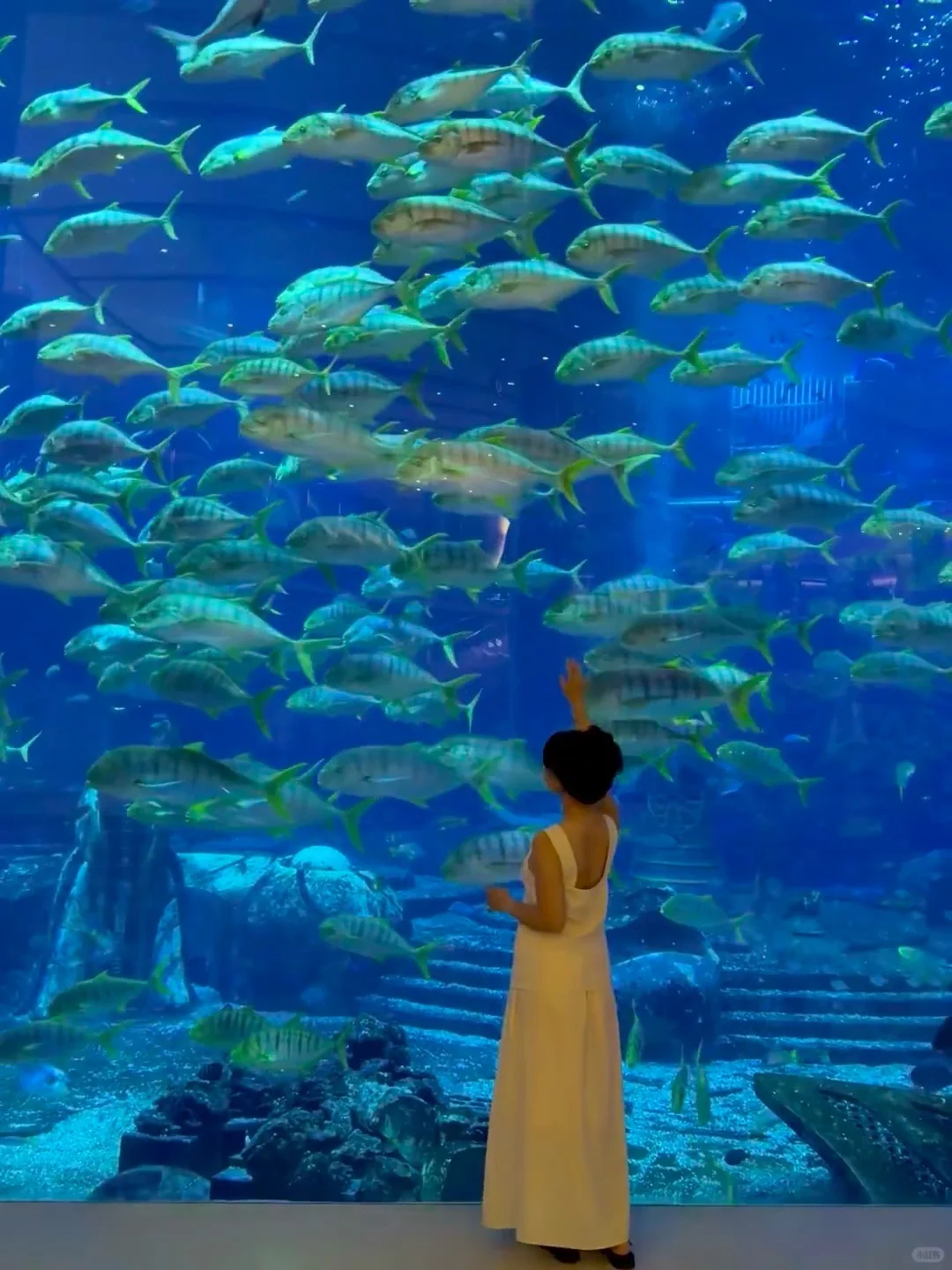 11-12月三亚旅游攻略来咯🏖