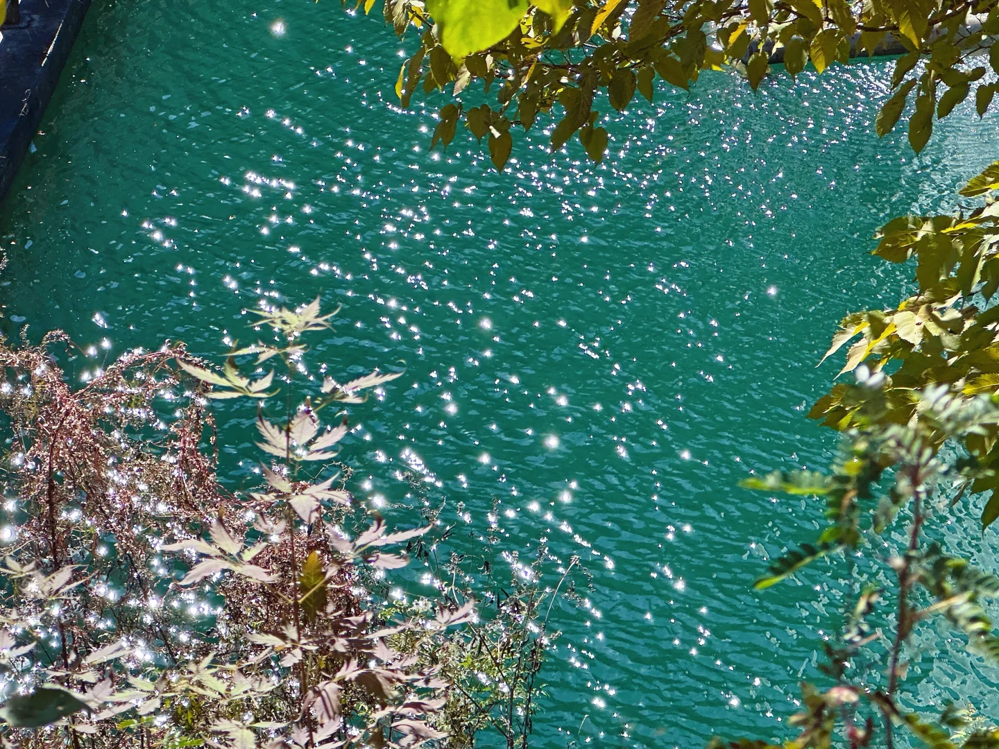 想看看你们拍的红叶🍁