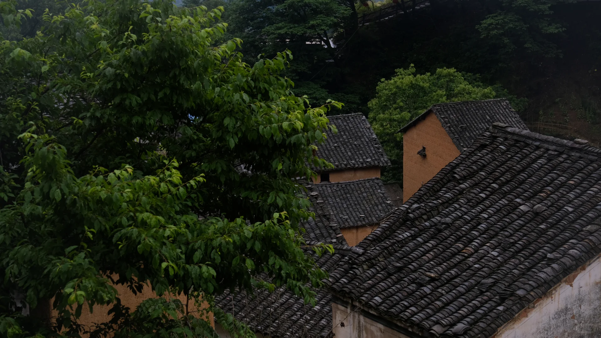 皖南十年（2018）