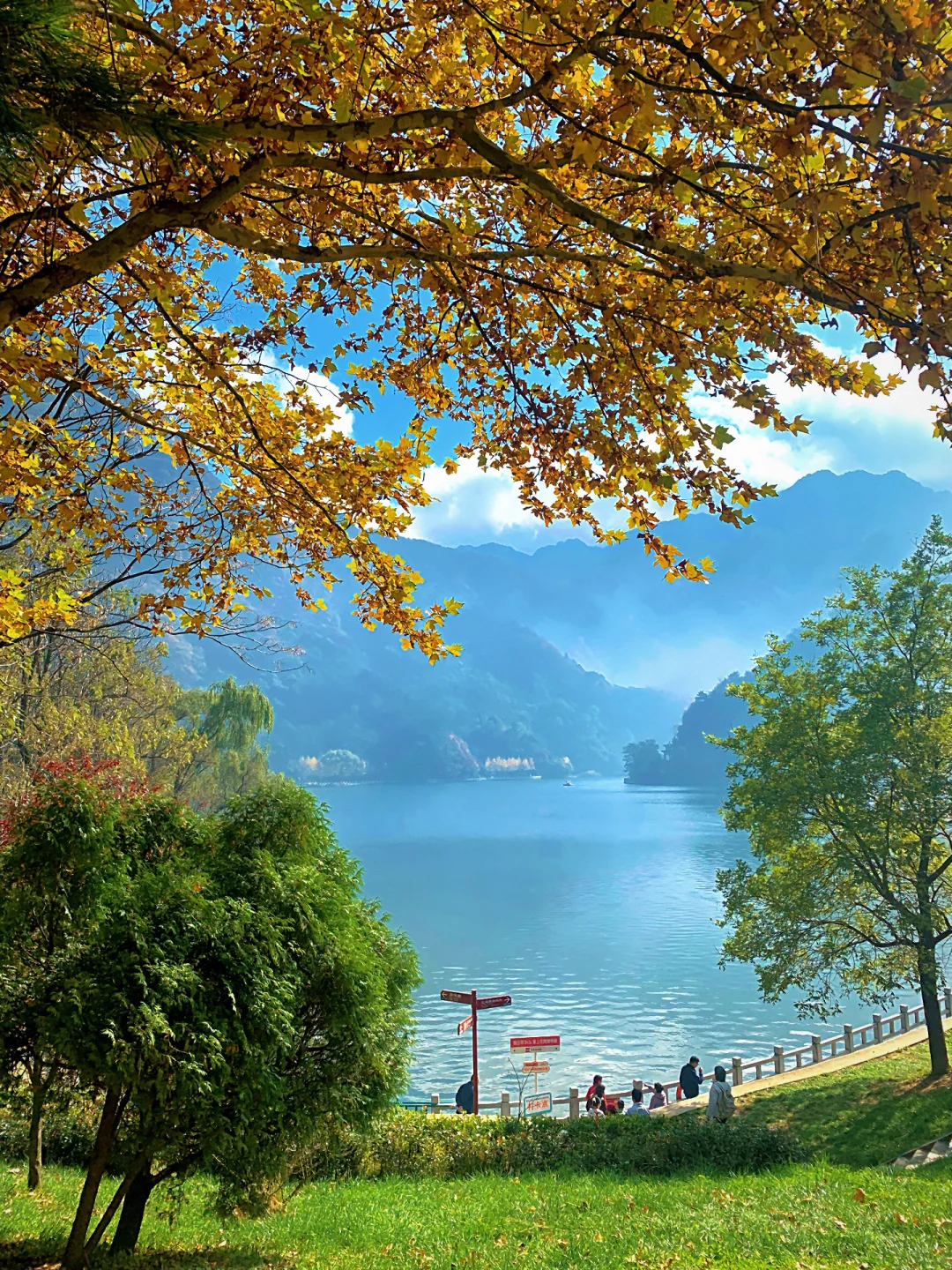 翠华山的秋色美绝了🍂