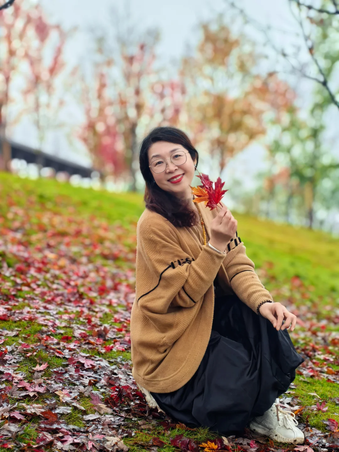 重庆的秋天在哪里|鹿山公园红枫来一波