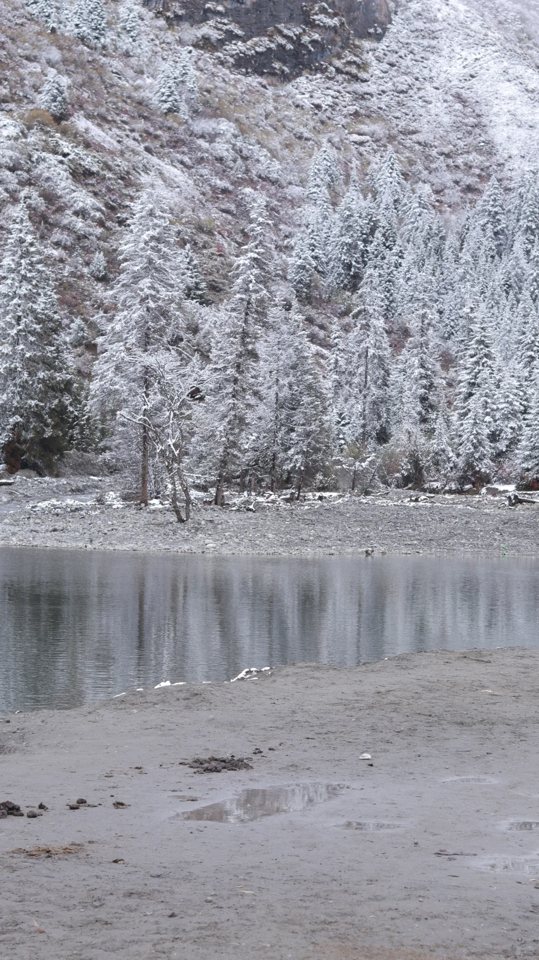 一场说走就走的旅行