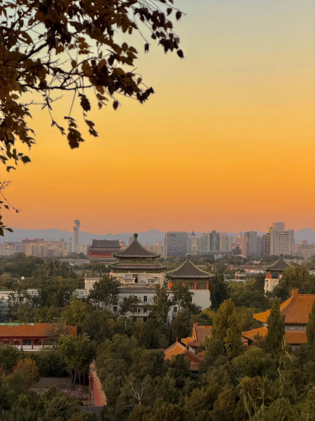 10.31实况！！故宫的绝美日落杀疯了！！！！！！