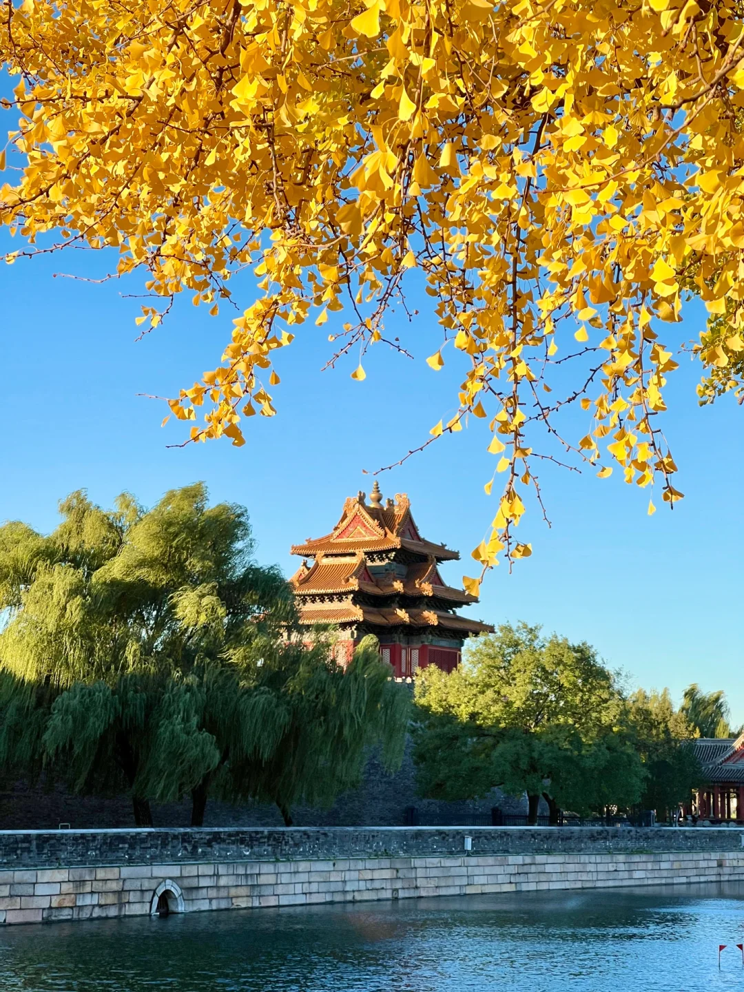 下周来北京一定要走这条赏秋路线