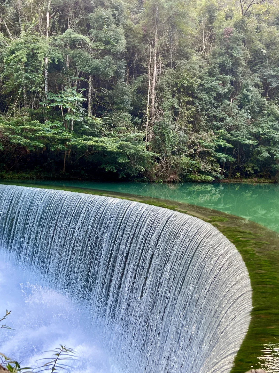 荔波小七孔｜无滤镜live图直出景色图来了🍃