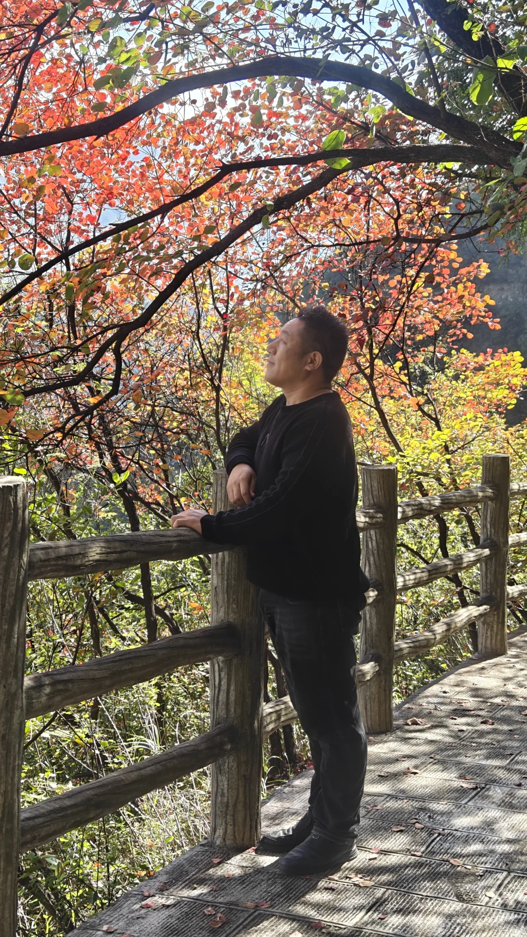 巫峡神女景区（神女天路25年11月11号）