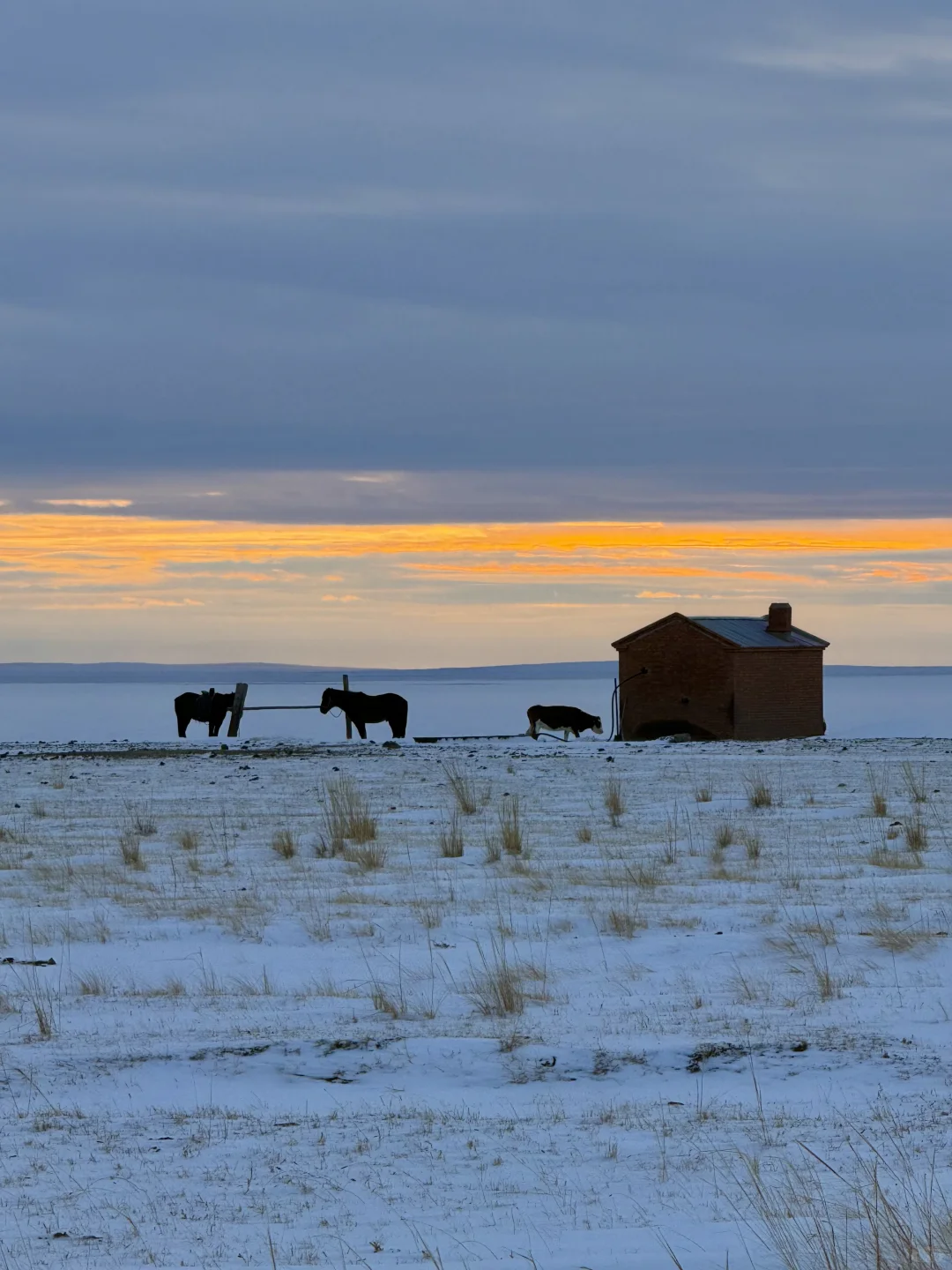 Live图的意义❄️初冬的呼伦贝尔才是人间理想