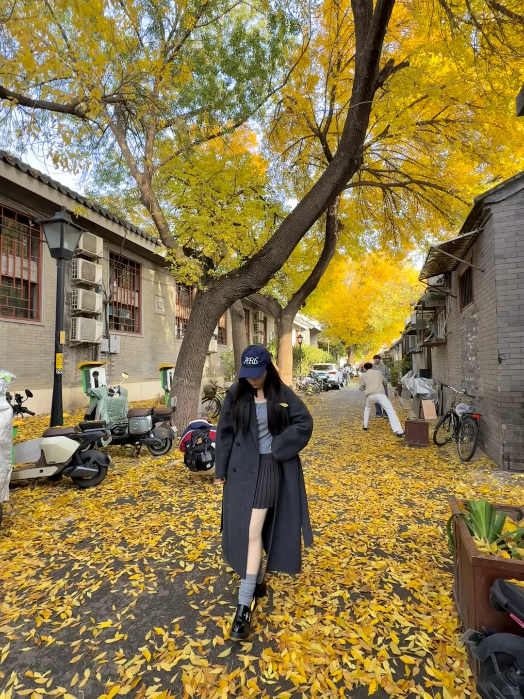 11.8实况！北京今天的胡同杀疯了！！