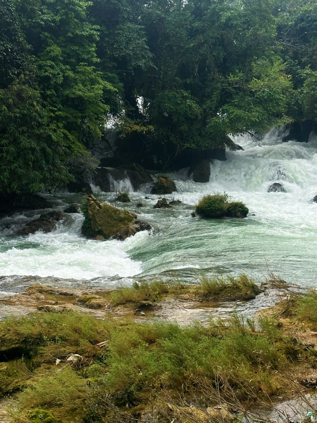 10.31德天瀑布实况🌊花了173r才知道有多冤