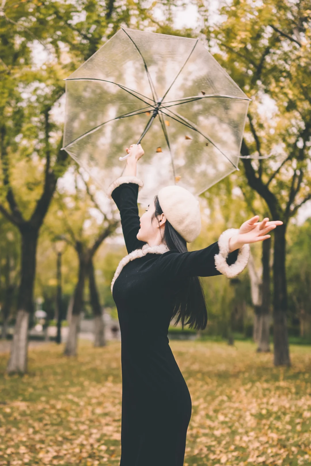 温岭湖心公园银杏