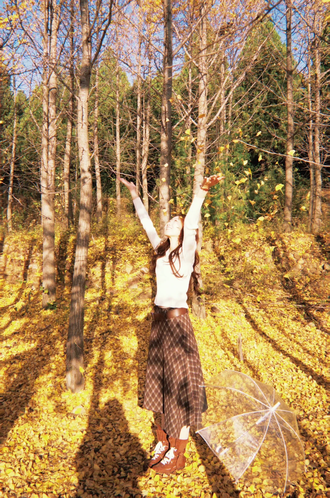 秋天是春天的倒叙