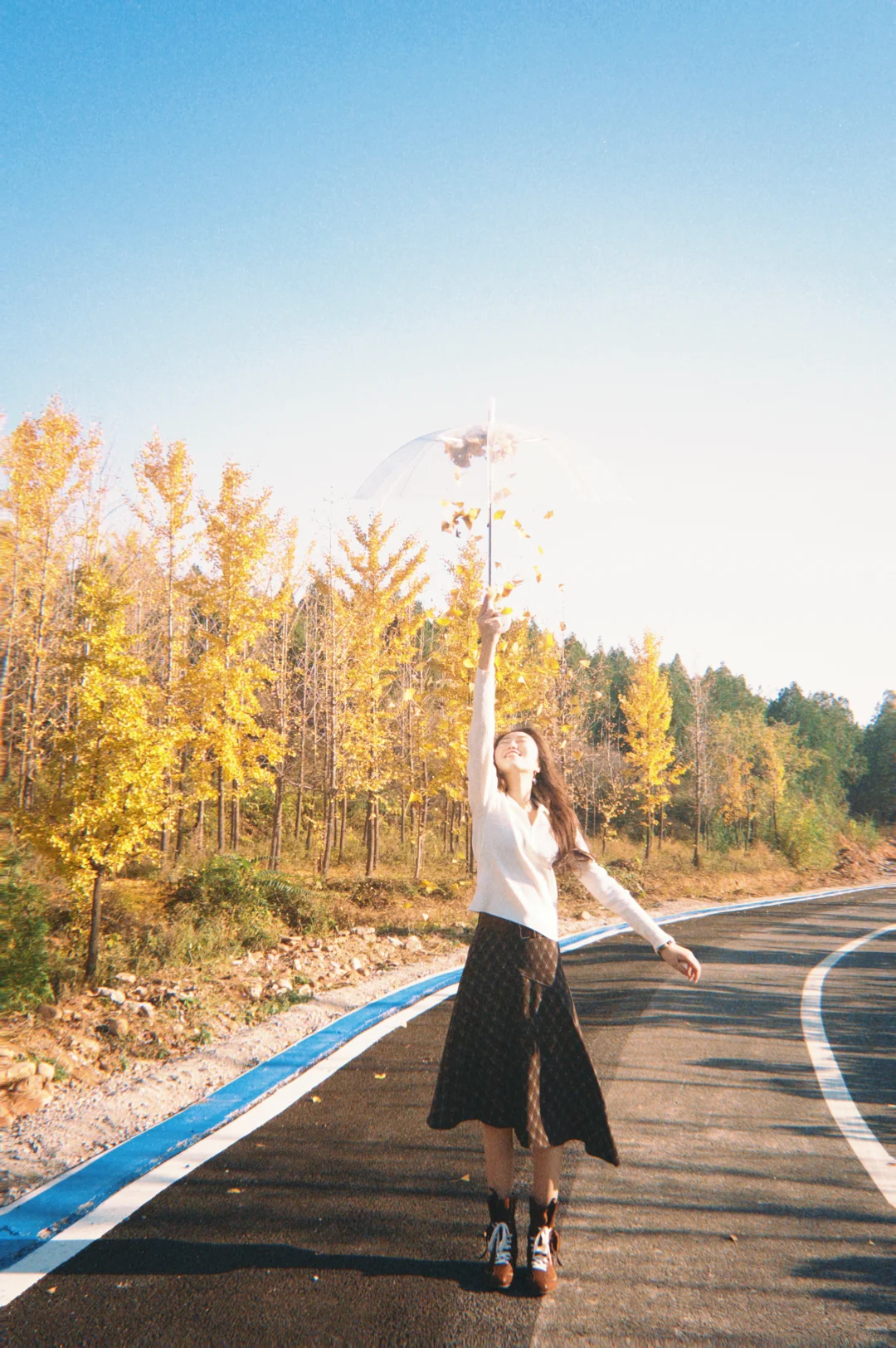 秋天是春天的倒叙