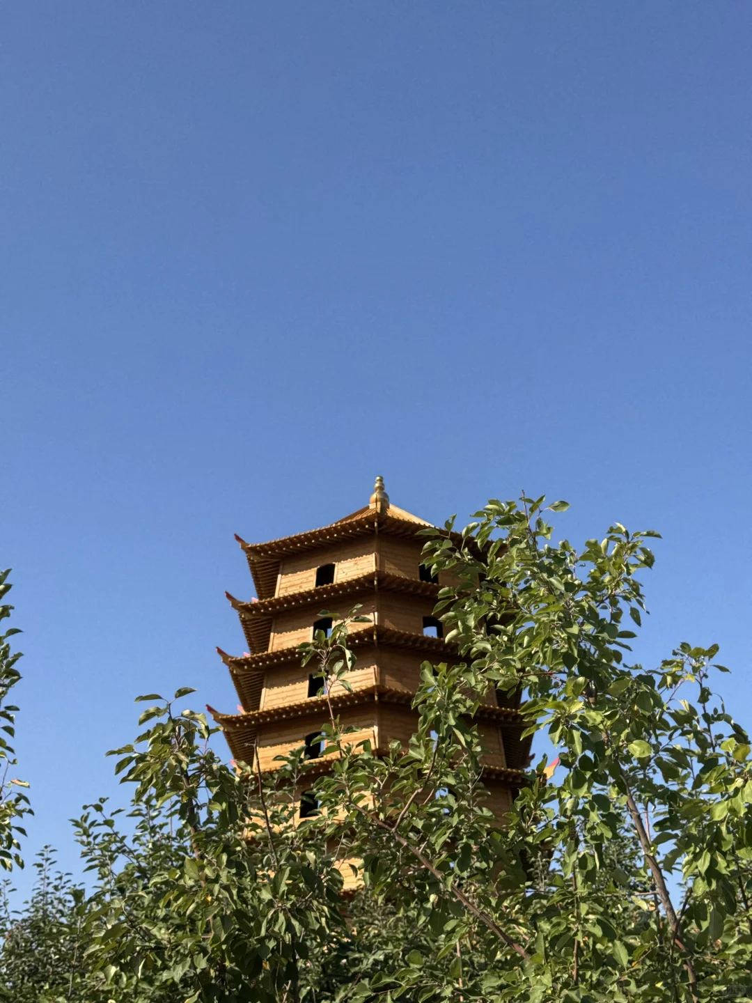 五家渠｜海棠山风景区